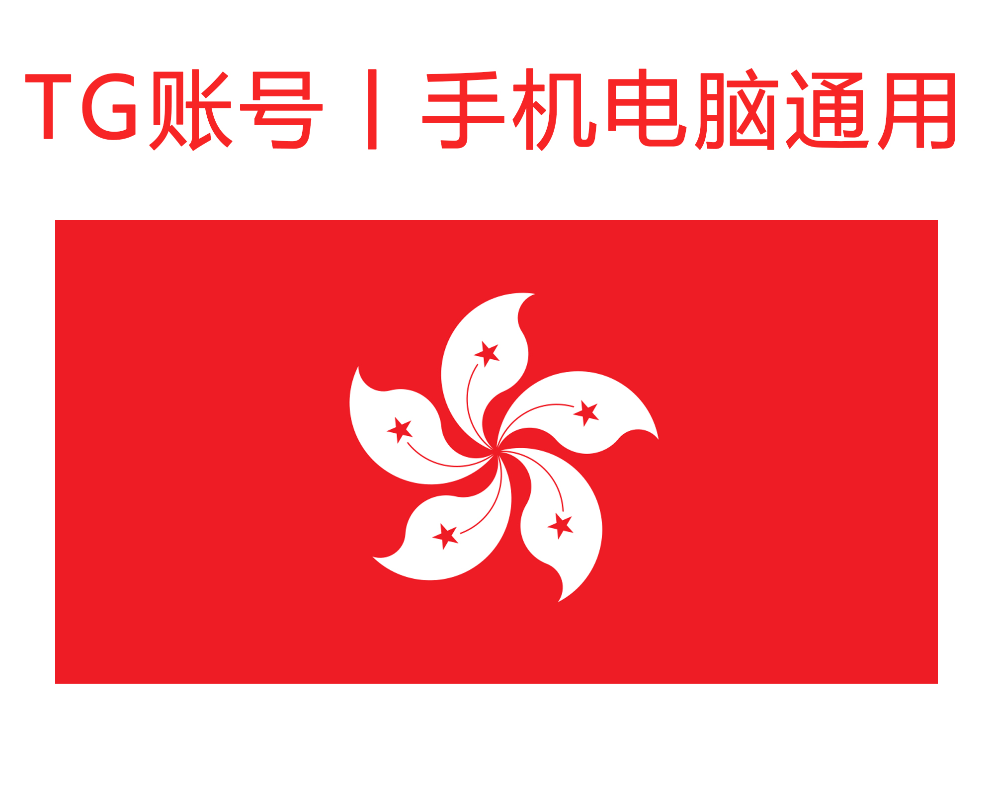 飞机号 (香港) 精养两年年号｜手机+电脑可登